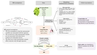 Genetic liability of gut microbiota for idiopathic pulmonary fibrosis and lung function: a two-sample Mendelian randomization study